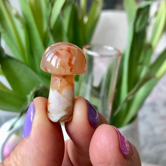 Flower Agate Mini Mushroom - Picture 6 of 6